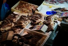 Καθαρά-Δευτέρα:-Έως-και-21%-υψηλότερες-από-πέρυσι-οι-τιμές-στα-θαλασσινά