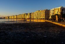 Ήρθαν-οι-«αλκυονίδες-μέρες»…-να-στεγνώσουν-τα-κορεσμένα-εδάφη!