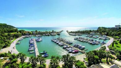 Θαλάσσια-ρύπανση-στη-μαρίνα-Σάνη-Χαλκιδικής-–-Συνελήφθη-ο-διευθυντής-της-μαρίνας