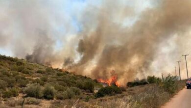 Πέντε-φωτιές-το-Σάββατο-λόγω-κεραυνών,-όλες-τέθηκαν-υπό-έλεγχο