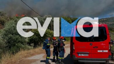 Φωτιά-σε-δασική-έκταση-στην-Εύβοια-–-Ισχυρές-δυνάμεις-στη-μάχη-της-κατάσβεσης