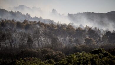 meteo:-Η-φωτιά-στην-Οινόη-δημιούργησε-τον-δικό-της-καιρό
