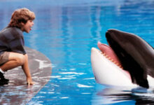 Η-warner-bros-ετοιμάζει-reboot-του-«free-willy»