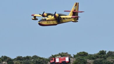Φωτιά-τώρα-στο-Γενέσι-Τρικάλων,-σηκώθηκαν-δύο-αεροσκάφη