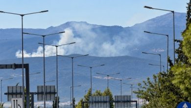 Φωτιά-σε-δασική-έκταση-στη-Μαγνησία,-επιχειρούν-τέσσερα-εναέρια-μέσα