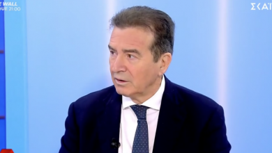 Χρυσοχοΐδης:-Η-Αστυνομία-κινήθηκε-πολύ-γρήγορα-στην-υπόθεση-Μαζωνάκη,-δείτε-βίντεο