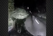 Αρκούδα-πετάγεται-στη-μέση-του-δρόμου-και-ορμάει-πάνω-σε-αυτοκίνητο-στην-Ιαπωνία,-δείτε-βίντεο