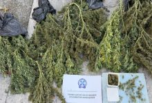 Συνελήφθη-63χρονος-στη-Θεσσαλονίκη-για-κατοχή-κάνναβης-βάρους-άνω-των-12-κιλών