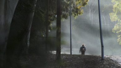 67ο-Φεστιβάλ-Κινηματογράφου-Θεσσαλονίκης:-Αυτές-είναι-οι-ελληνικές-ταινίες-του-προγράμματός-του